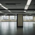 Empty office buildings with "For Lease" signs, abandoned cubicles, and vacant meeting rooms. Economic impact visible through deserted workspaces